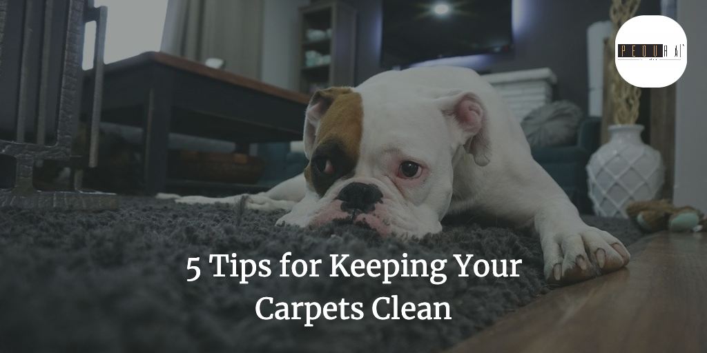 5 Tips for Keeping Your Carpets Clean